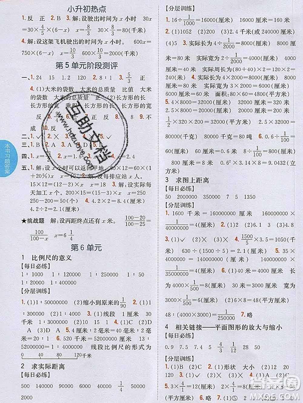 吉林人民出版社2020春小學(xué)教材完全解讀五年級(jí)數(shù)學(xué)下冊(cè)青島版五四制答案