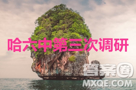 哈六中2019—2020學(xué)年度高三上第三次調(diào)研考試文科數(shù)學(xué)試卷及答案