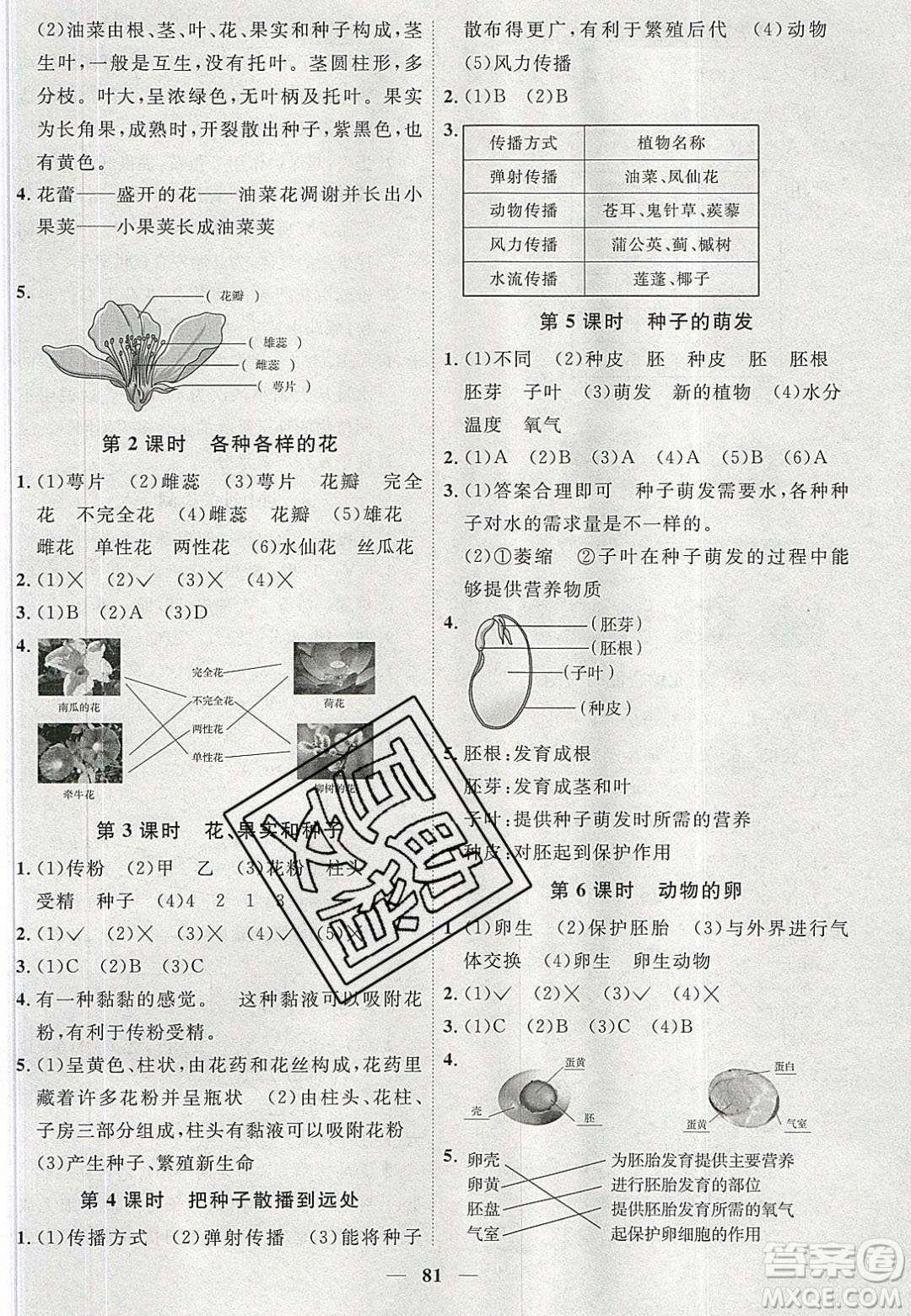 宇軒圖書2020春陽光同學(xué)課時優(yōu)化作業(yè)科學(xué)四年級下冊教科版答案