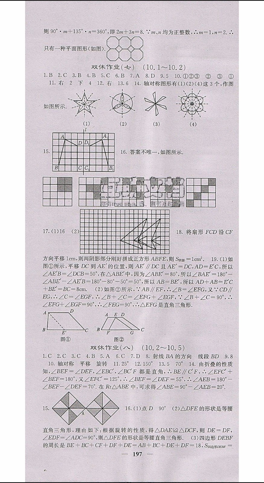 梯田文化2020年課堂點(diǎn)睛數(shù)學(xué)七年級(jí)下冊(cè)華師版參考答案