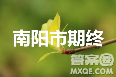 南陽市2019年秋期高中三年級(jí)期終質(zhì)量評(píng)估文科數(shù)學(xué)答案