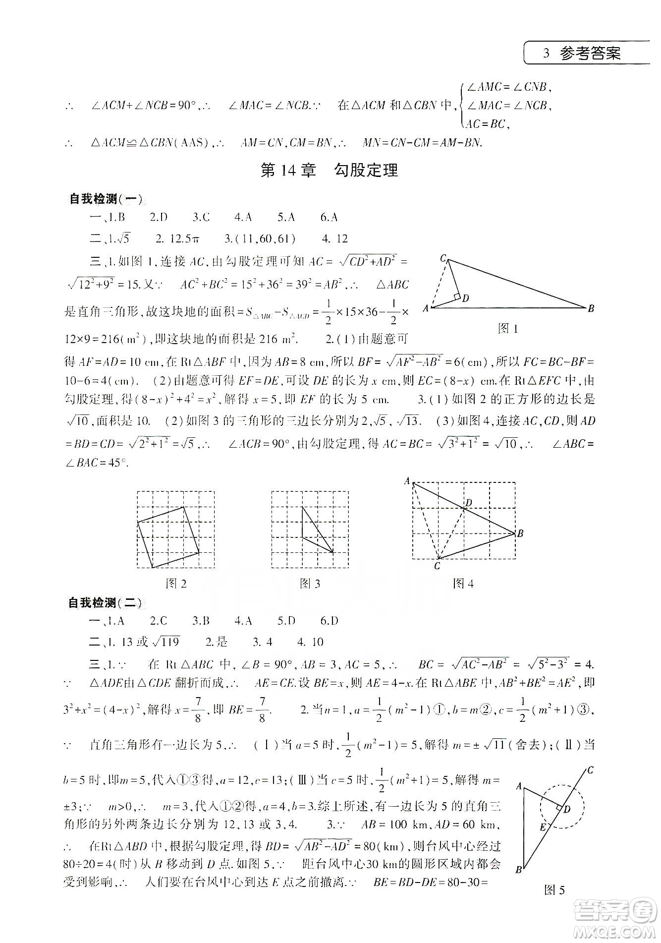 大象出版社2020寒假作業(yè)本八年級數(shù)學(xué)英語物理地理生物學(xué)合訂本答案