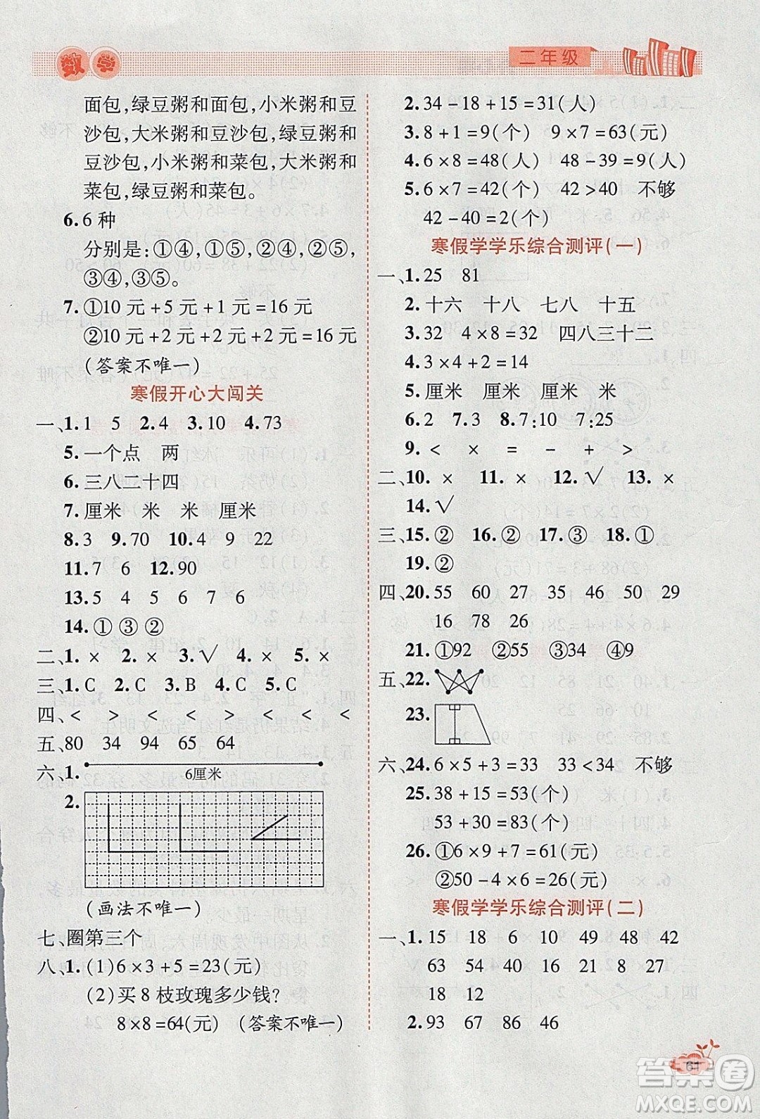 2020年全能測(cè)控寒假開(kāi)心果二年級(jí)數(shù)學(xué)RJ人教版參考答案