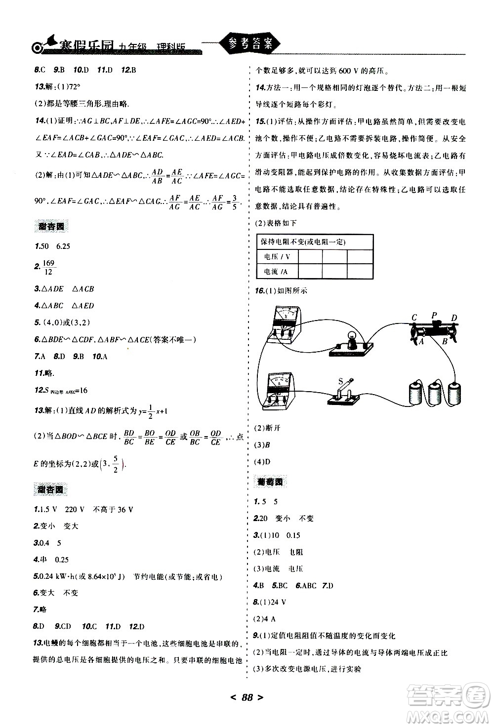 遼寧師范大學(xué)出版社2020年寒假樂園九年級(jí)理科版參考答案