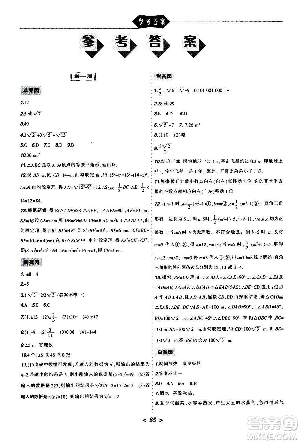 遼寧師范大學(xué)出版社2020年寒假樂園八年級理科版參考答案