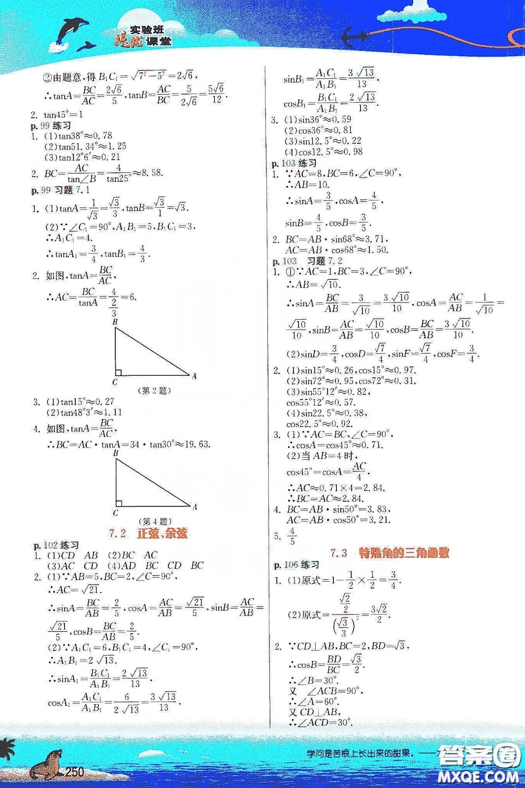 江蘇鳳凰科學(xué)出版社2020義務(wù)教育教科書(shū)九年級(jí)數(shù)學(xué)下冊(cè)蘇科版教材習(xí)題答案