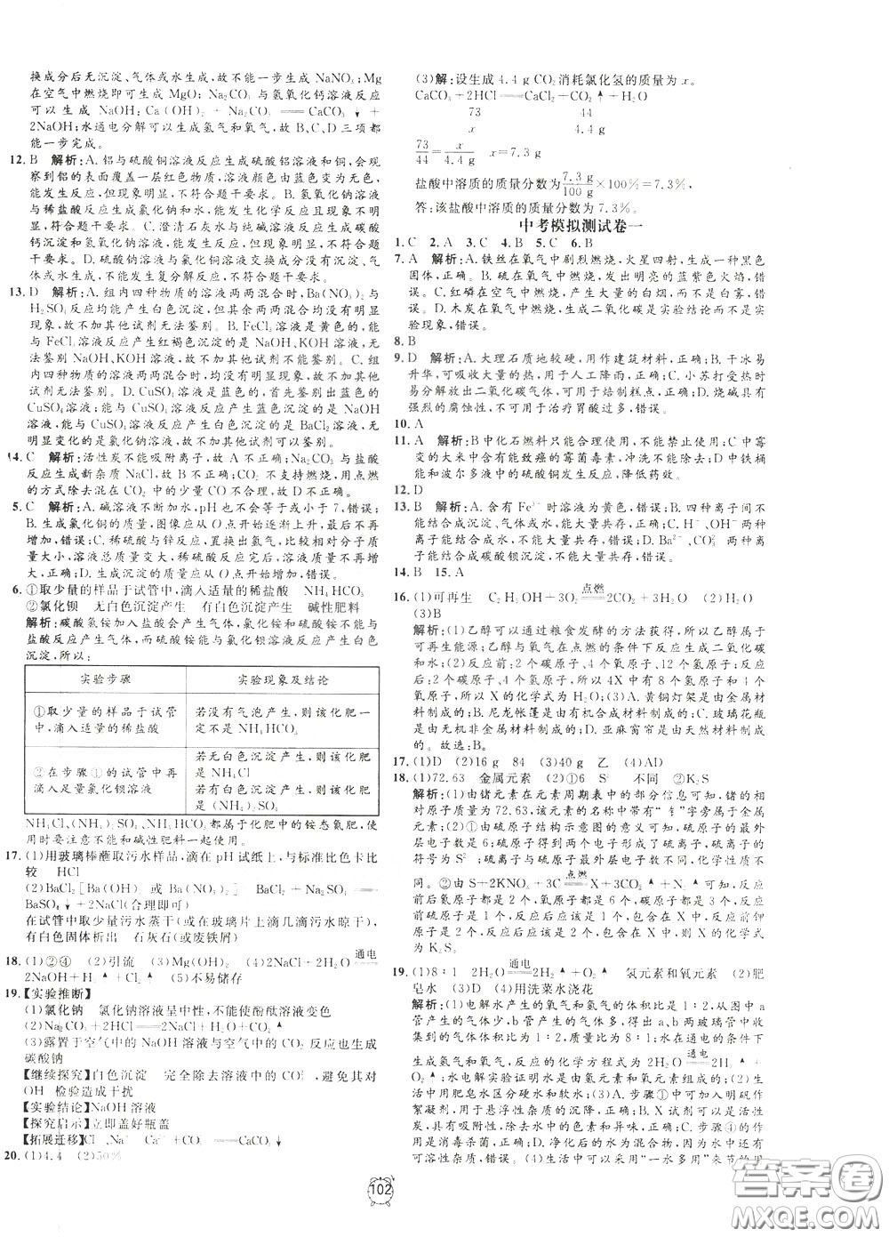 上海大學(xué)出版社2020年過關(guān)沖刺100分化學(xué)九年級下冊R版人教版參考答案