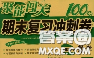 2020春聚能闖關100分期末復習沖刺卷七年級下冊數學RJ人教版參考答案