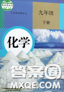 人民教育出版社2020義務教育教科書九年級化學下冊人教版教材課后習題答案