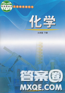 2020義務(wù)教育教科書54學(xué)制九年級(jí)化學(xué)下冊(cè)魯教版教材課后習(xí)題答案