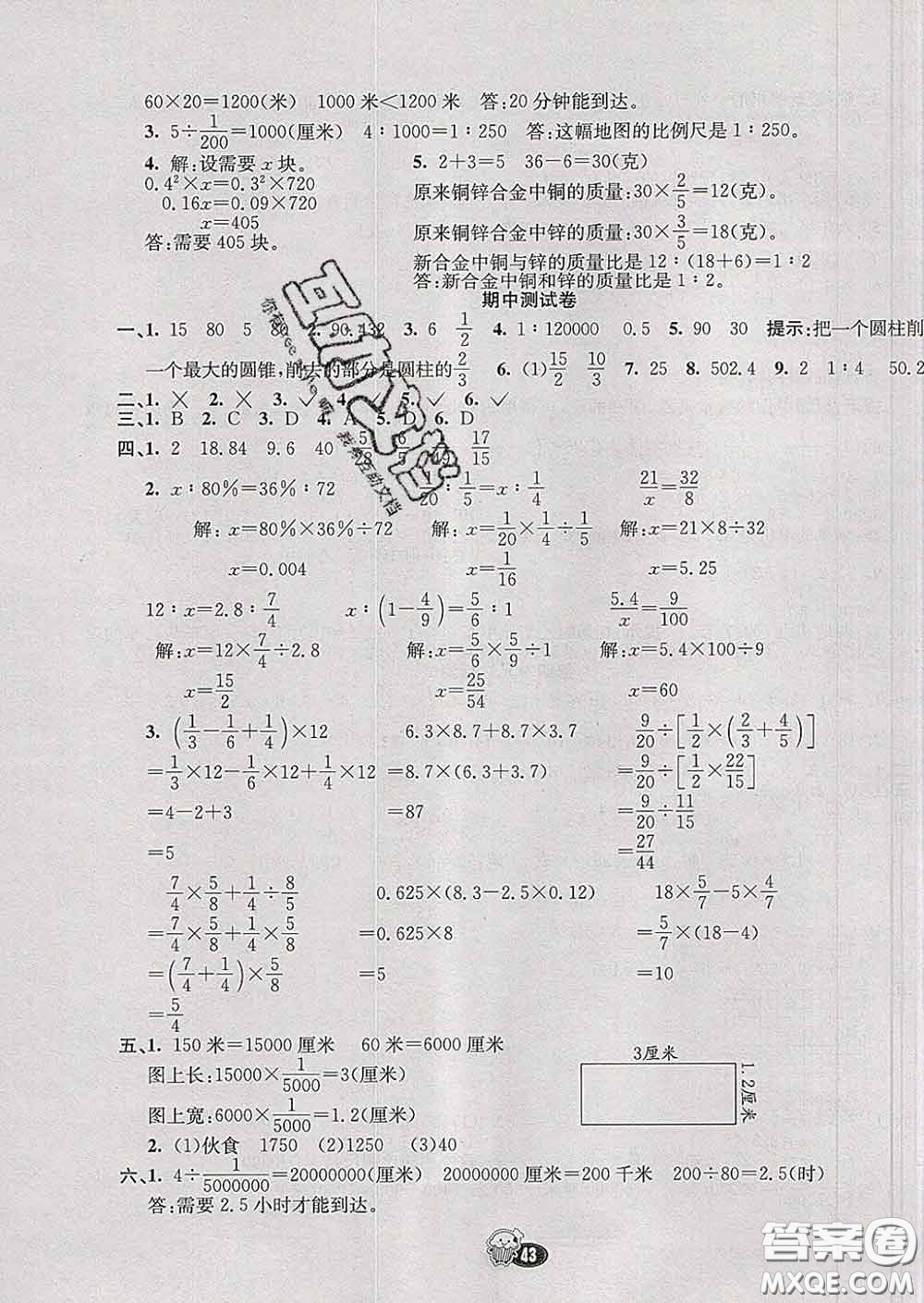 河北教育出版社2020新版七彩練霸六年級(jí)數(shù)學(xué)下冊蘇教版答案