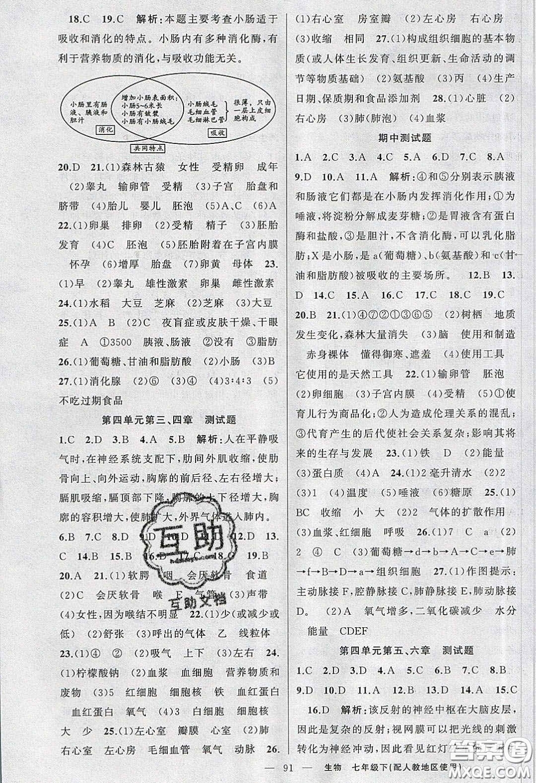 2020春原創(chuàng)新課堂七年級生物下冊人教版答案