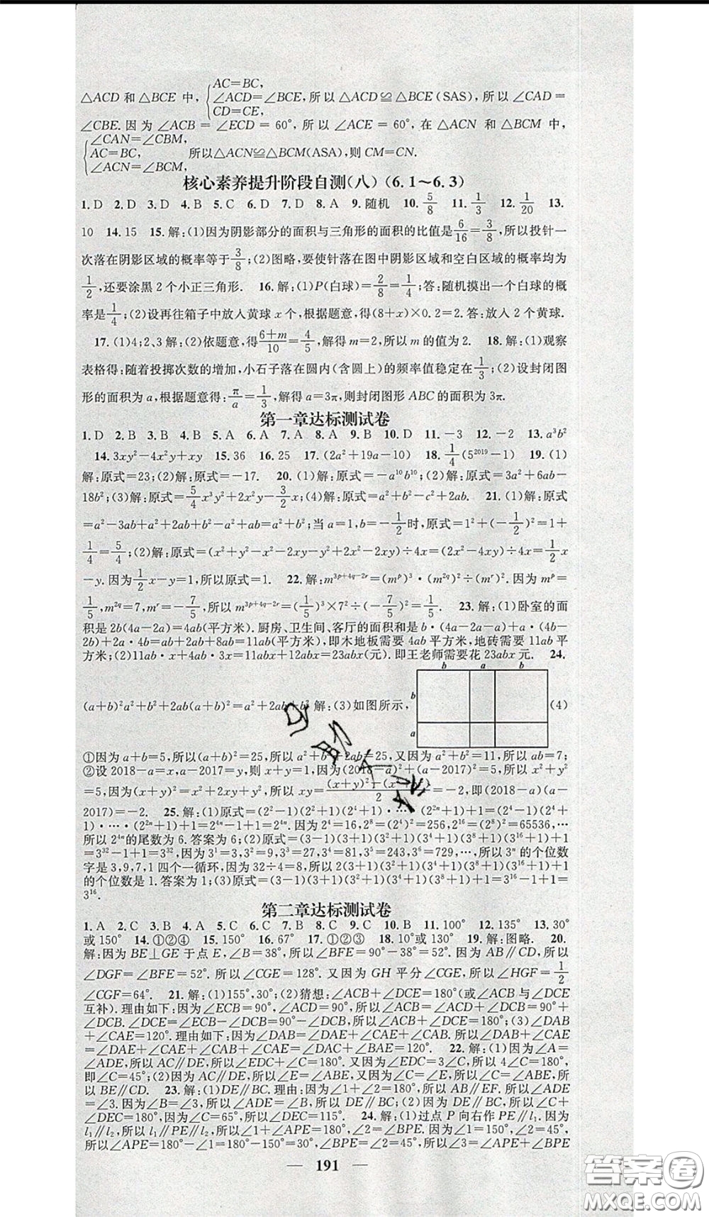 2020年智慧學(xué)堂核心素養(yǎng)提升法七年級下冊數(shù)學(xué)北師大版參考答案