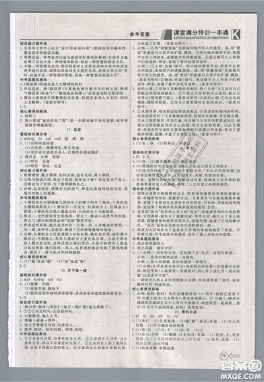 2020年贏在課堂滿分特訓(xùn)一本通九年級(jí)下冊(cè)語(yǔ)文人教版參考答案