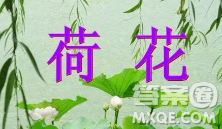 描寫(xiě)夏天的小學(xué)生作文400字最新 描寫(xiě)夏天的作文400字