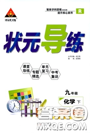 狀元成才路2020年狀元導(dǎo)練九年級下冊化學(xué)人教版參考答案