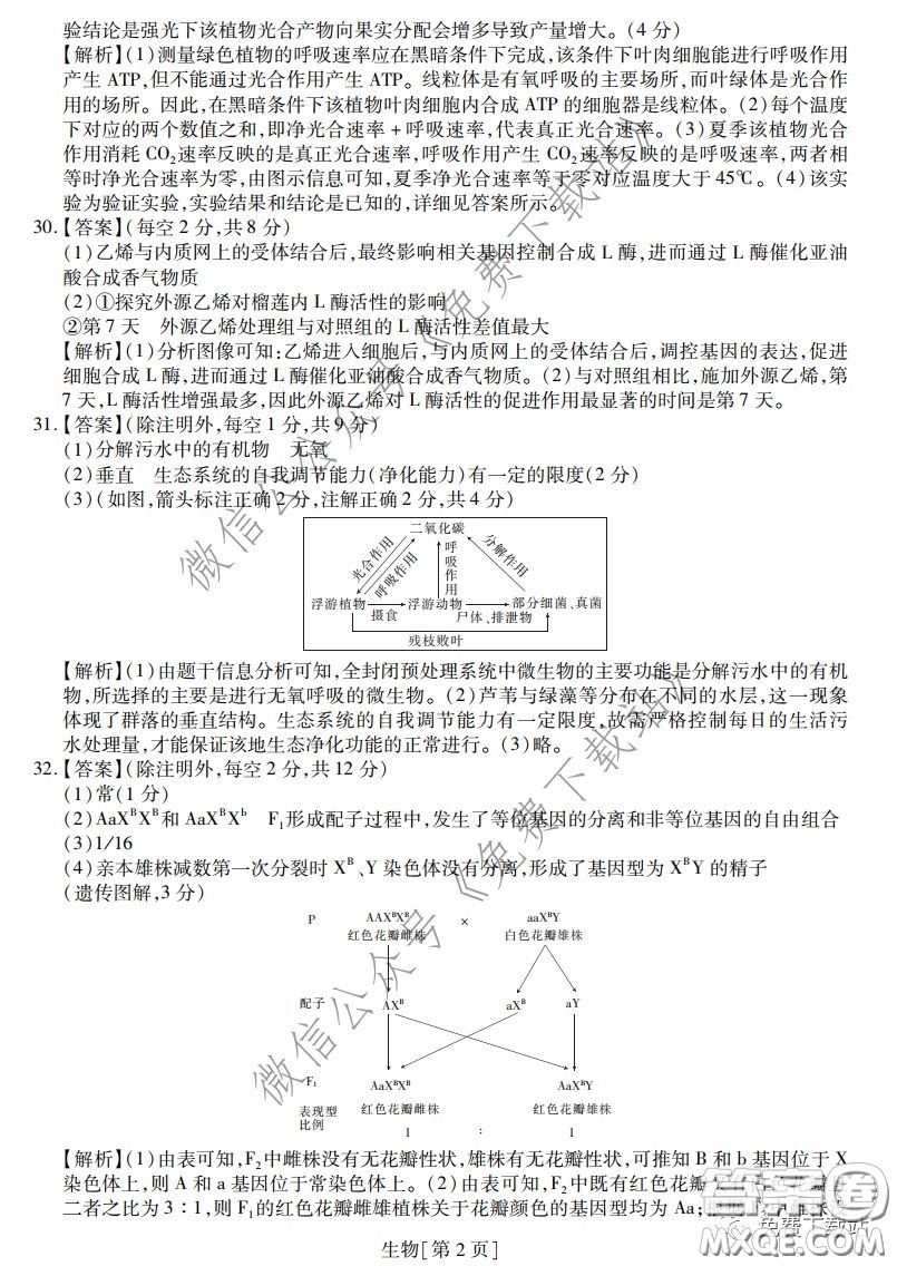 2020年普通高等學(xué)校招生全國統(tǒng)一考試高考仿真模擬信息卷押題卷一生物答案