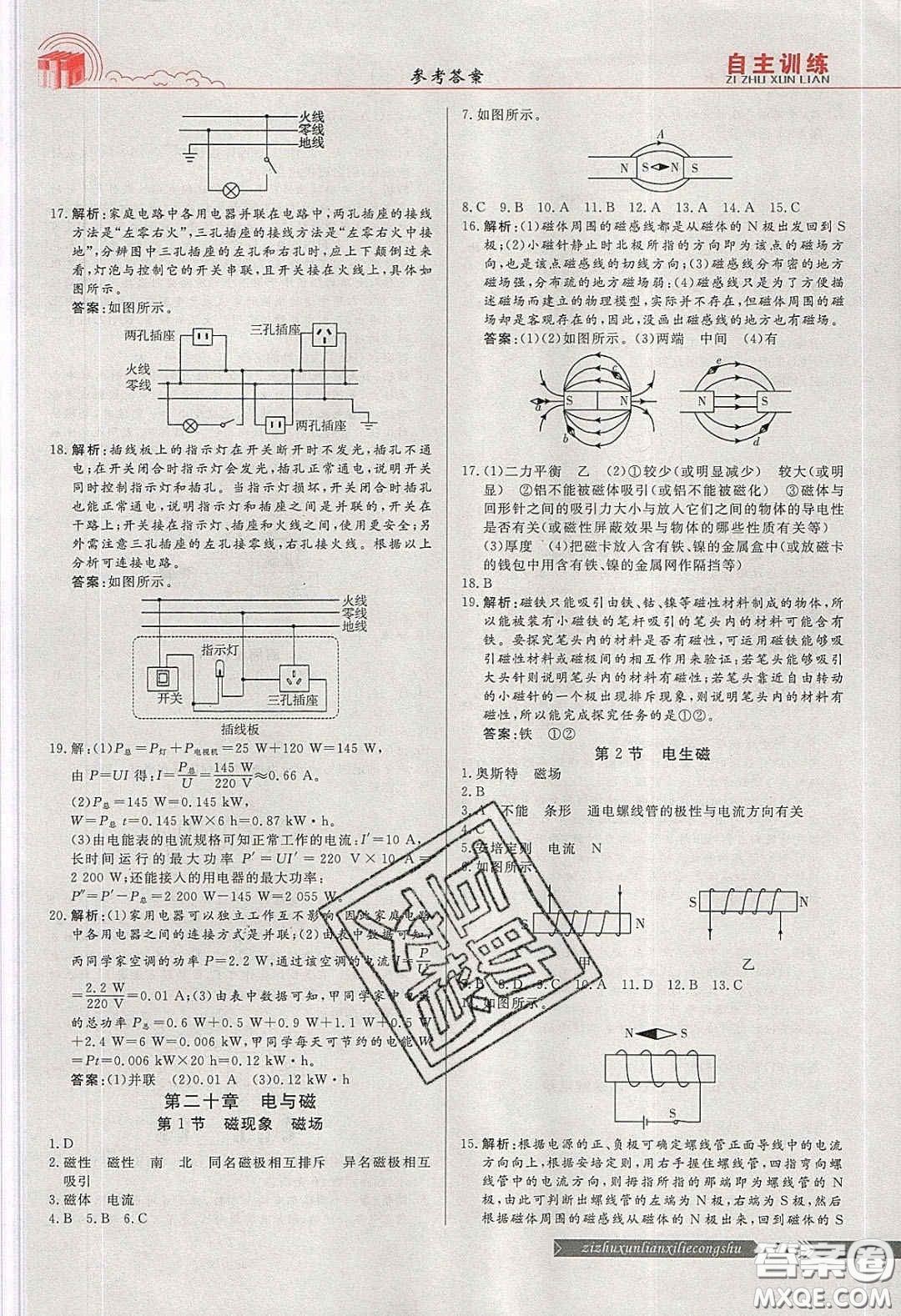 2020自主訓(xùn)練九年級物理下冊人教版答案