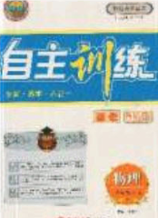 2020自主訓(xùn)練九年級物理下冊人教版答案