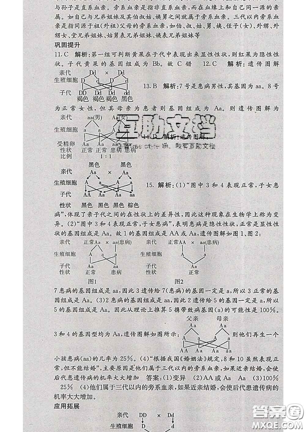 梯田文化2020春課堂點睛八年級生物下冊人教版答案