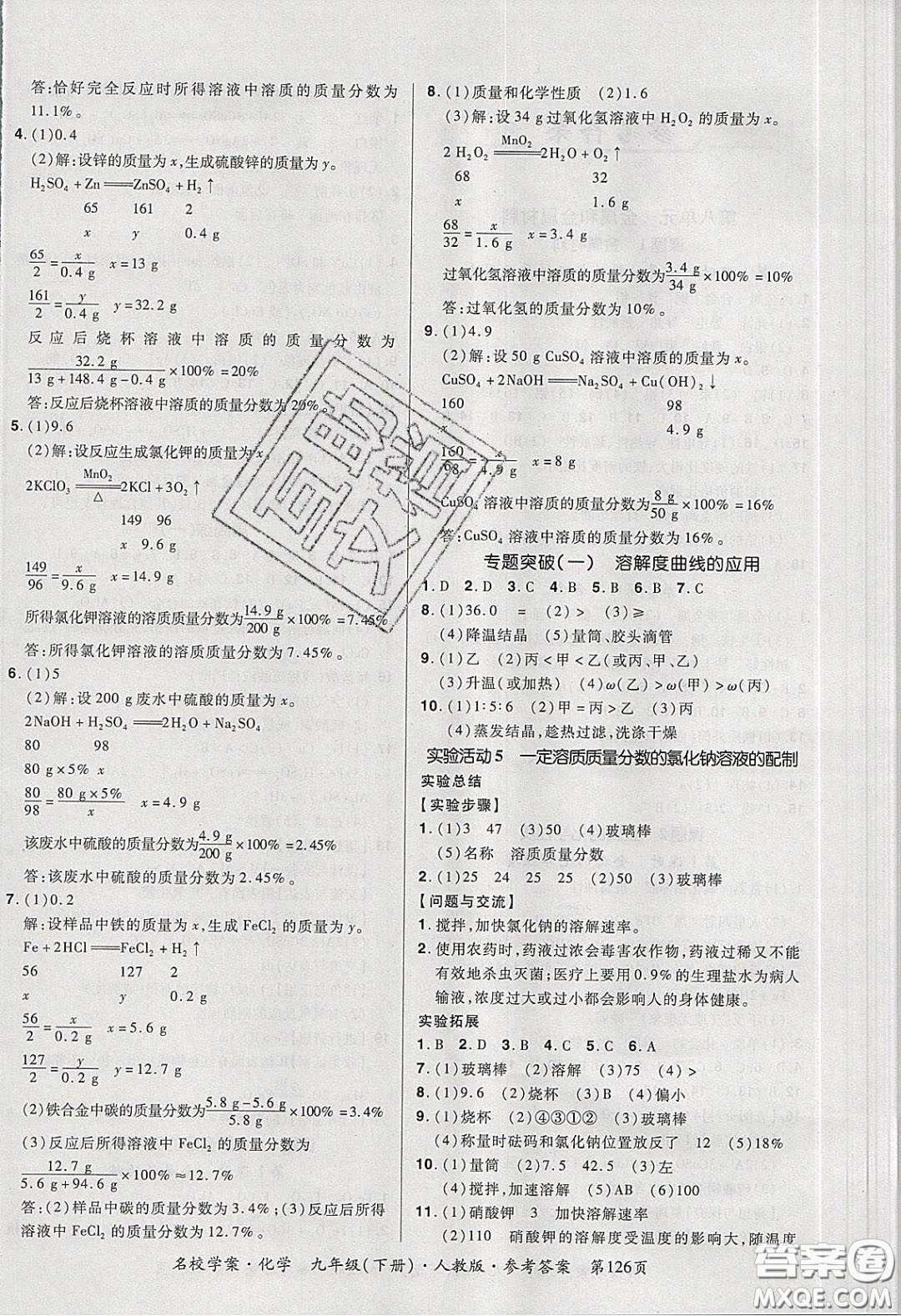 2020年國華作業(yè)本名校學案九年級化學下冊人教版答案