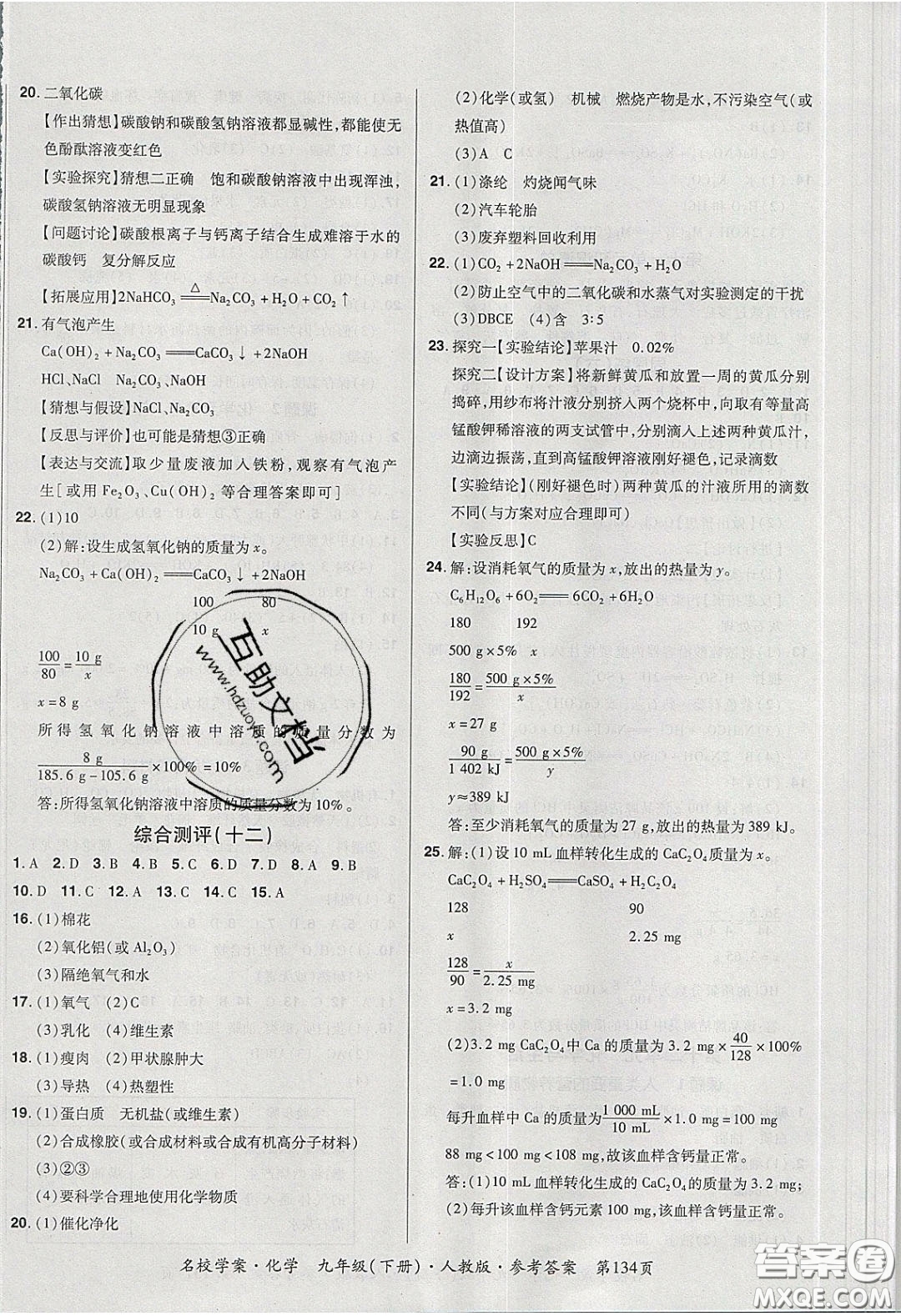 2020年國華作業(yè)本名校學案九年級化學下冊人教版答案