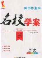 2020年國華作業(yè)本名校學案九年級化學下冊人教版答案