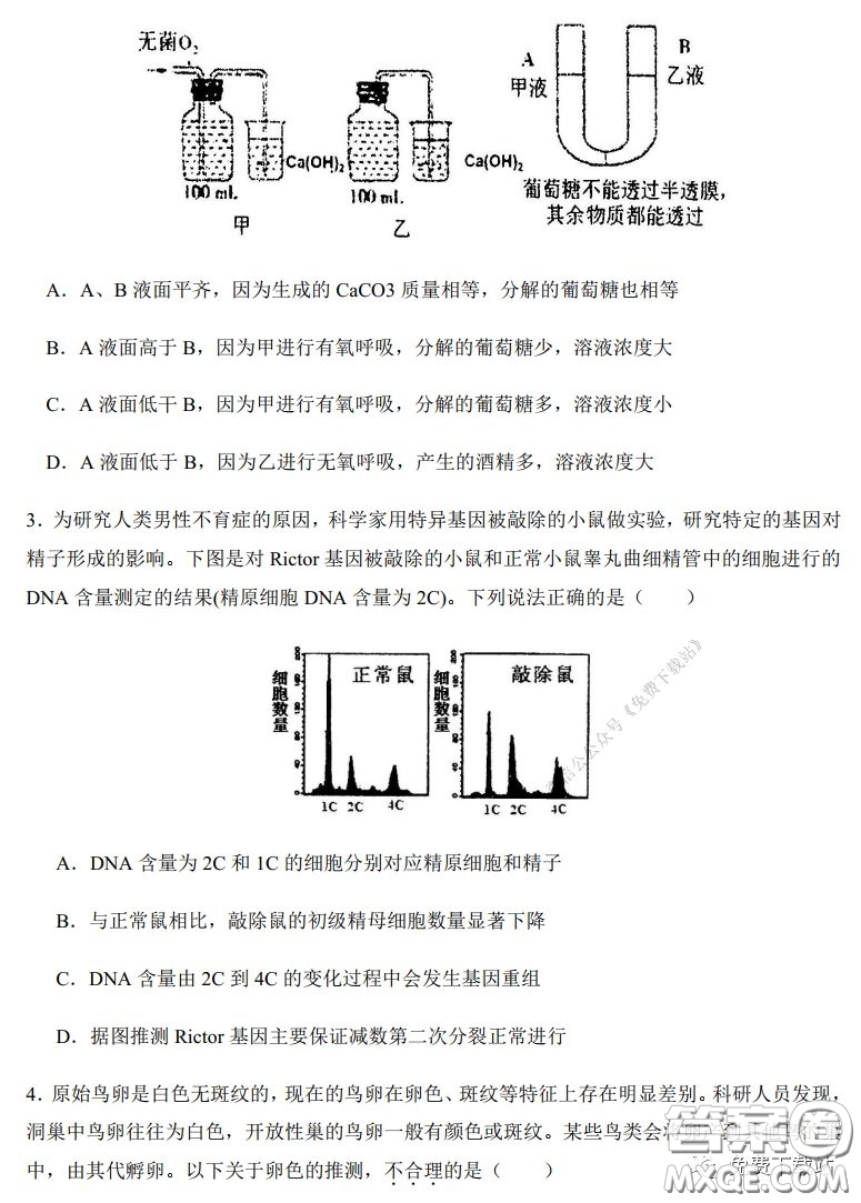 2020年河南省實驗中學(xué)高三假期自主測試?yán)砜凭C合試題及答案