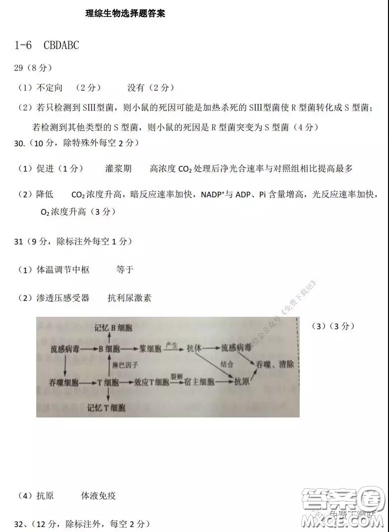 2020年河南省實驗中學(xué)高三假期自主測試?yán)砜凭C合試題及答案