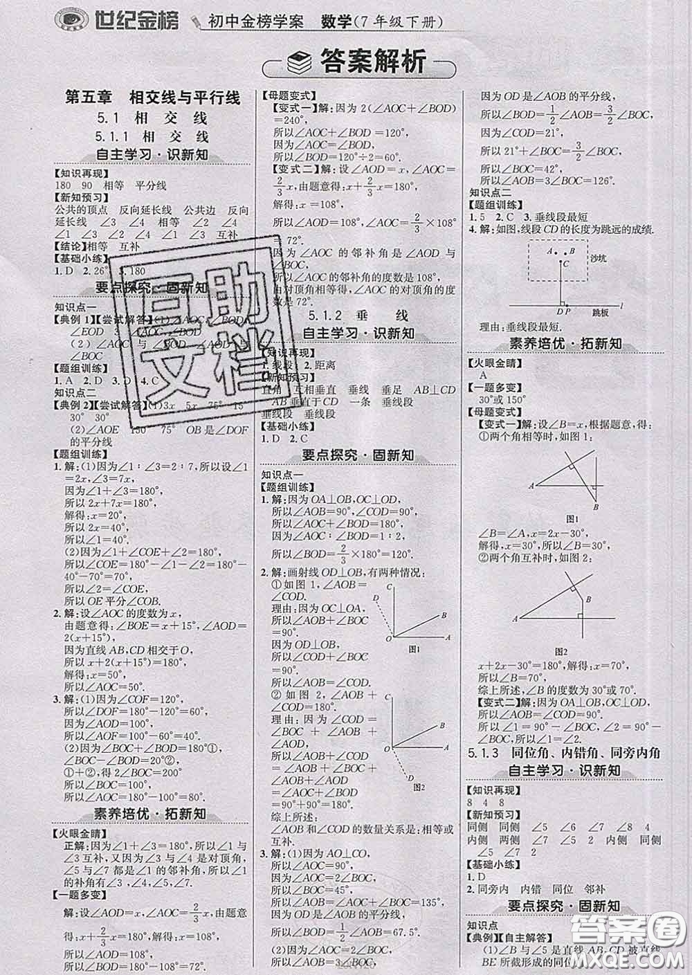 2020新版世紀金榜金榜學案七年級數(shù)學下冊人教版答案