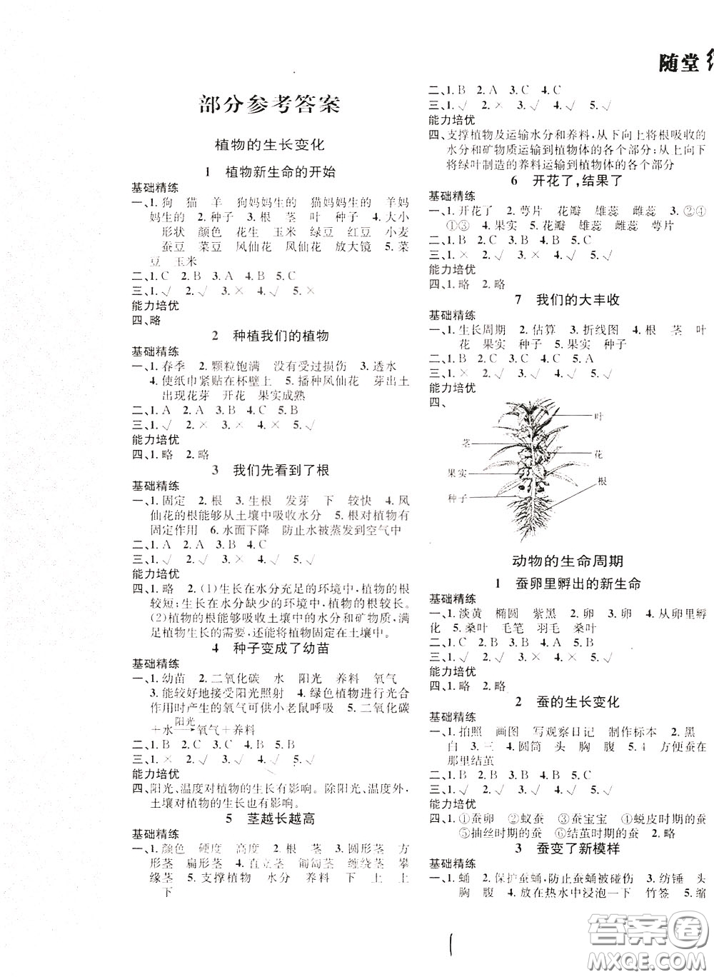 晨光出版社2020年課時掌控隨堂練習(xí)科學(xué)3年級下冊J教科版參考答案