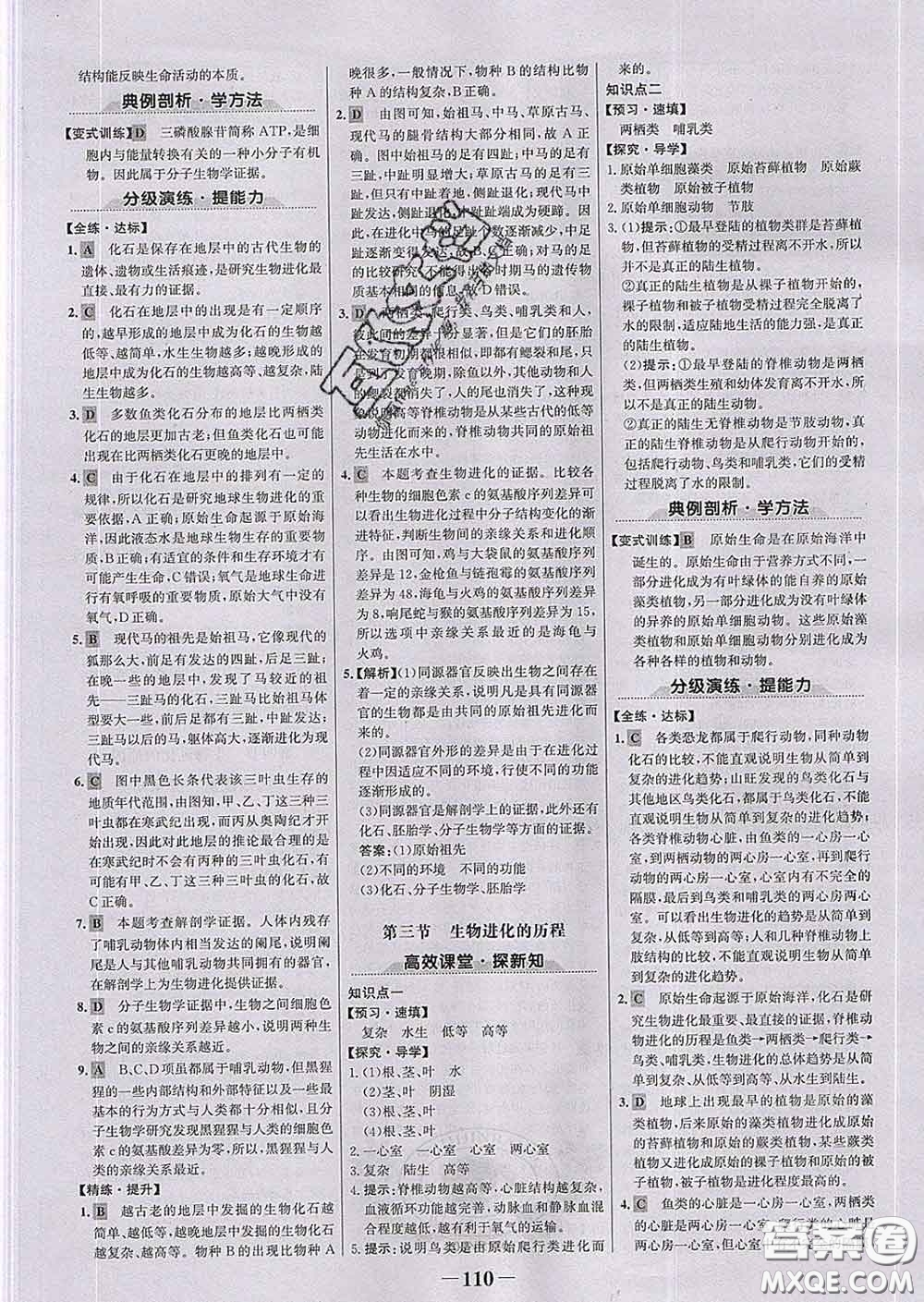 2020新版世紀(jì)金榜金榜學(xué)案八年級(jí)生物下冊(cè)濟(jì)南版答案