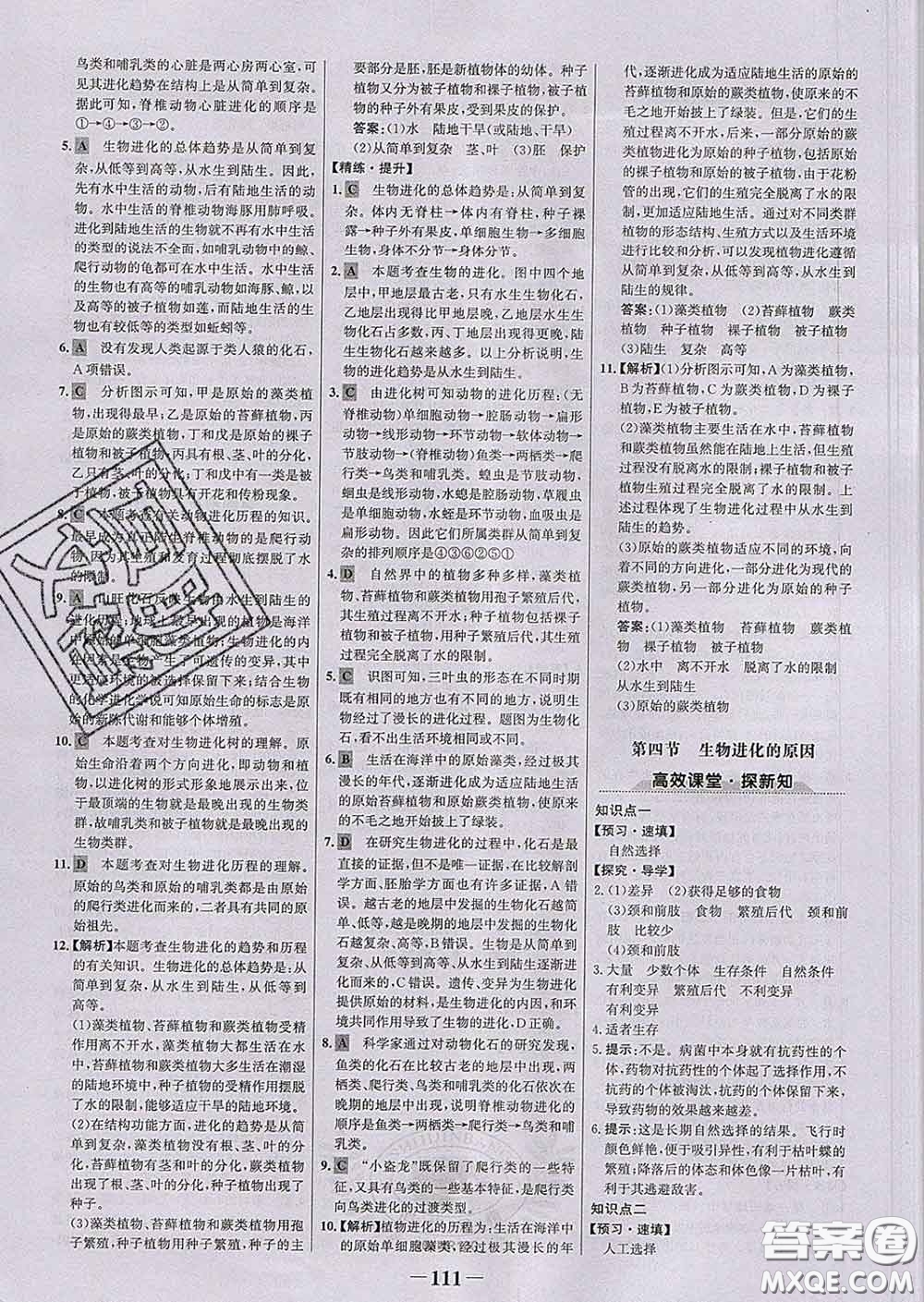 2020新版世紀(jì)金榜金榜學(xué)案八年級(jí)生物下冊(cè)濟(jì)南版答案