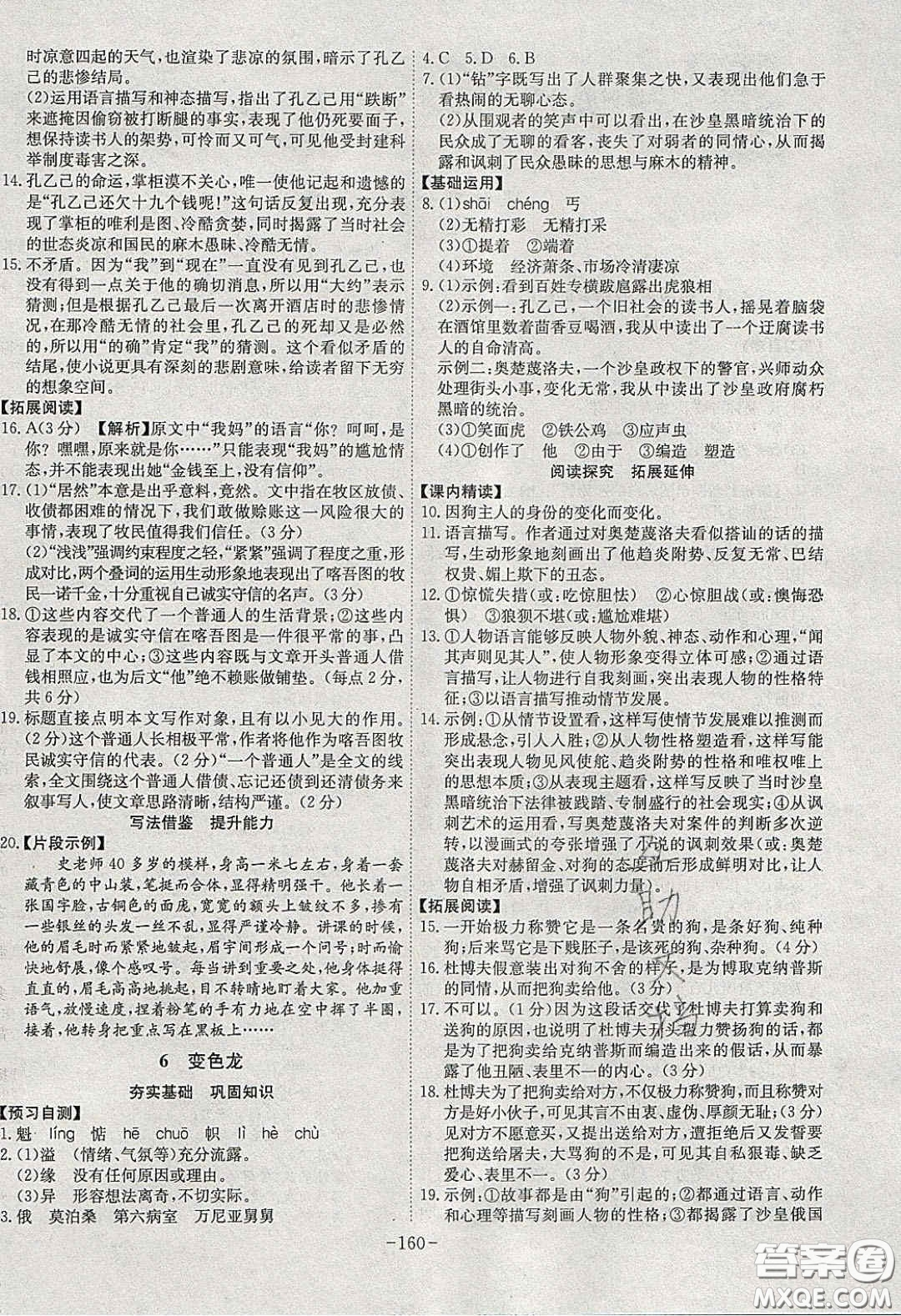 安徽師范大學(xué)出版社2020課時(shí)A計(jì)劃九年級(jí)語(yǔ)文下冊(cè)人教版答案