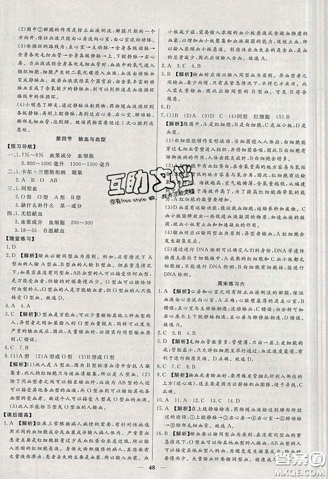 2020年春高分計劃中考版創(chuàng)新作業(yè)七年級生物下冊人教版答案