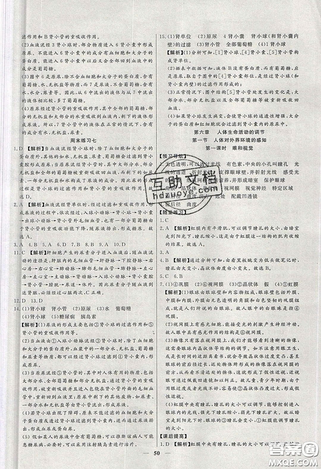 2020年春高分計劃中考版創(chuàng)新作業(yè)七年級生物下冊人教版答案