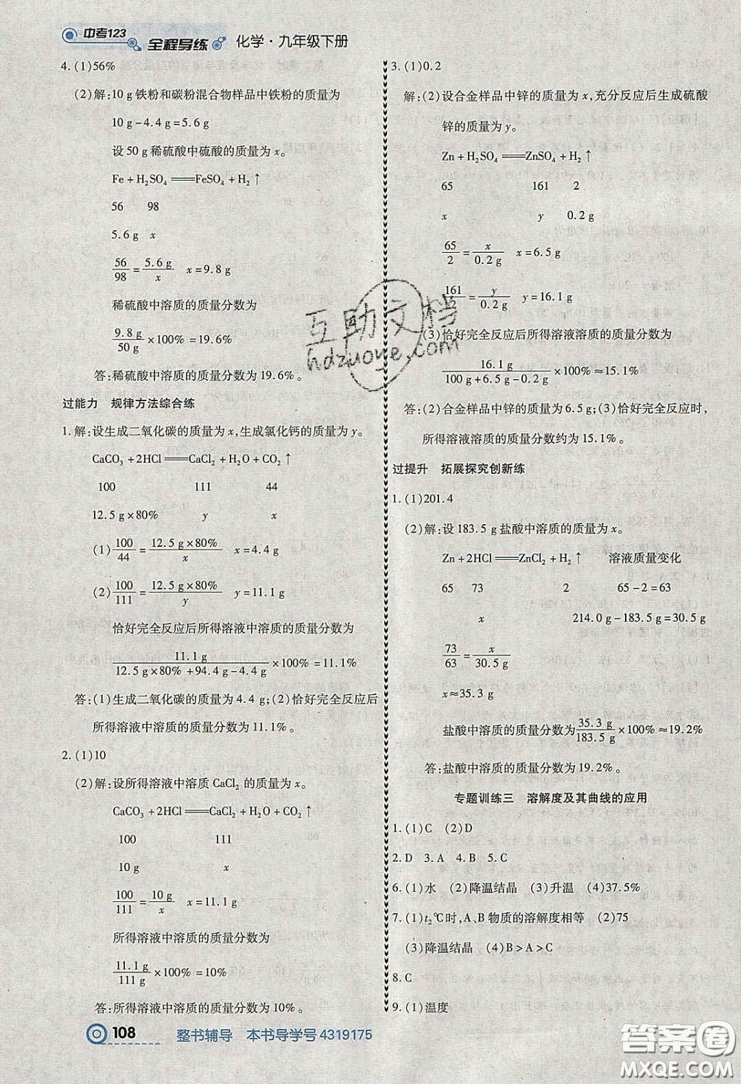 2020年中考123全程導(dǎo)練九年級(jí)化學(xué)下冊(cè)人教版答案