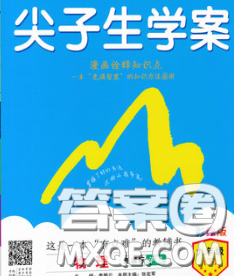 吉林人民出版社2020春尖子生學(xué)案九年級物理下冊人教版答案