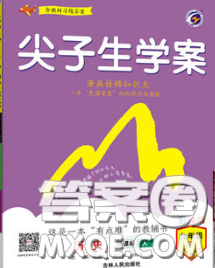 吉林人民出版社2020春尖子生學(xué)案九年級(jí)歷史下冊(cè)人教版答案