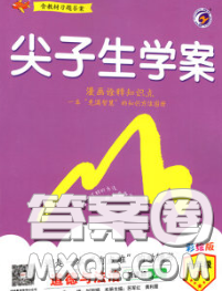 吉林人民出版社2020春尖子生學(xué)案九年級道德與法治下冊人教版答案