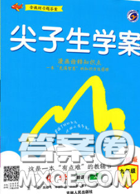 吉林人民出版社2020春尖子生學(xué)案九年級(jí)化學(xué)下冊(cè)人教版答案