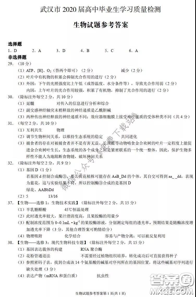 武漢市2020屆3月高中畢業(yè)班學(xué)習(xí)質(zhì)量檢測理科綜合答案