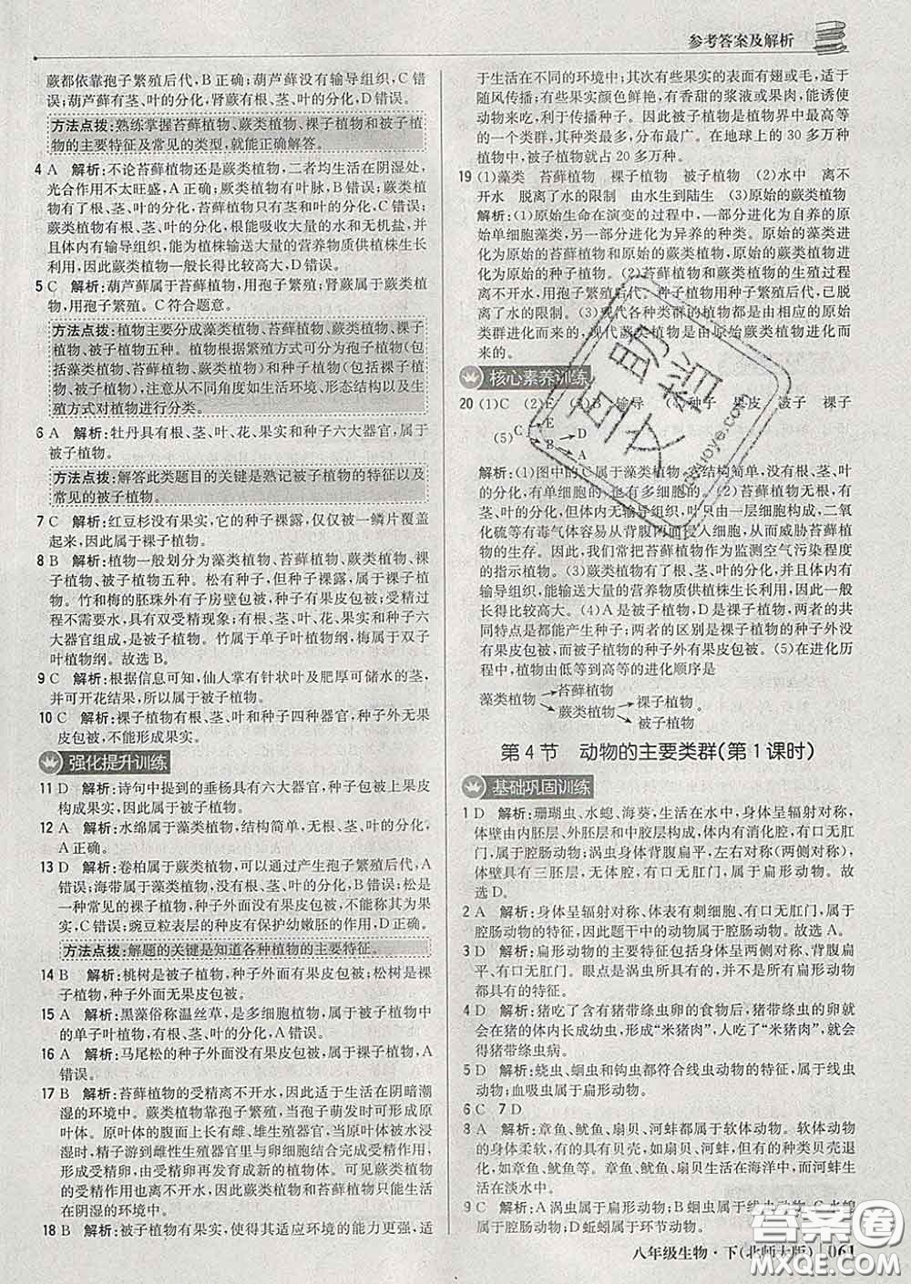 2020新版1加1輕巧奪冠優(yōu)化訓(xùn)練八年級生物下冊北師版答案