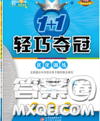 2020新版1加1輕巧奪冠優(yōu)化訓練九年級化學下冊魯教版答案