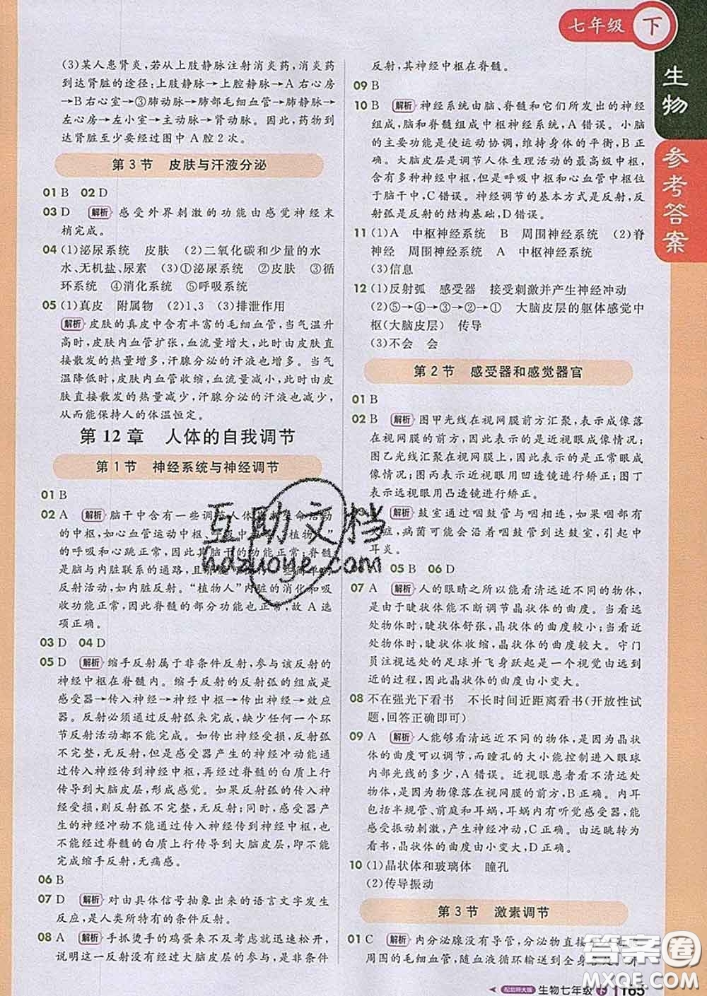 1加1輕巧奪冠課堂直播2020新版七年級(jí)生物下冊(cè)北師版答案