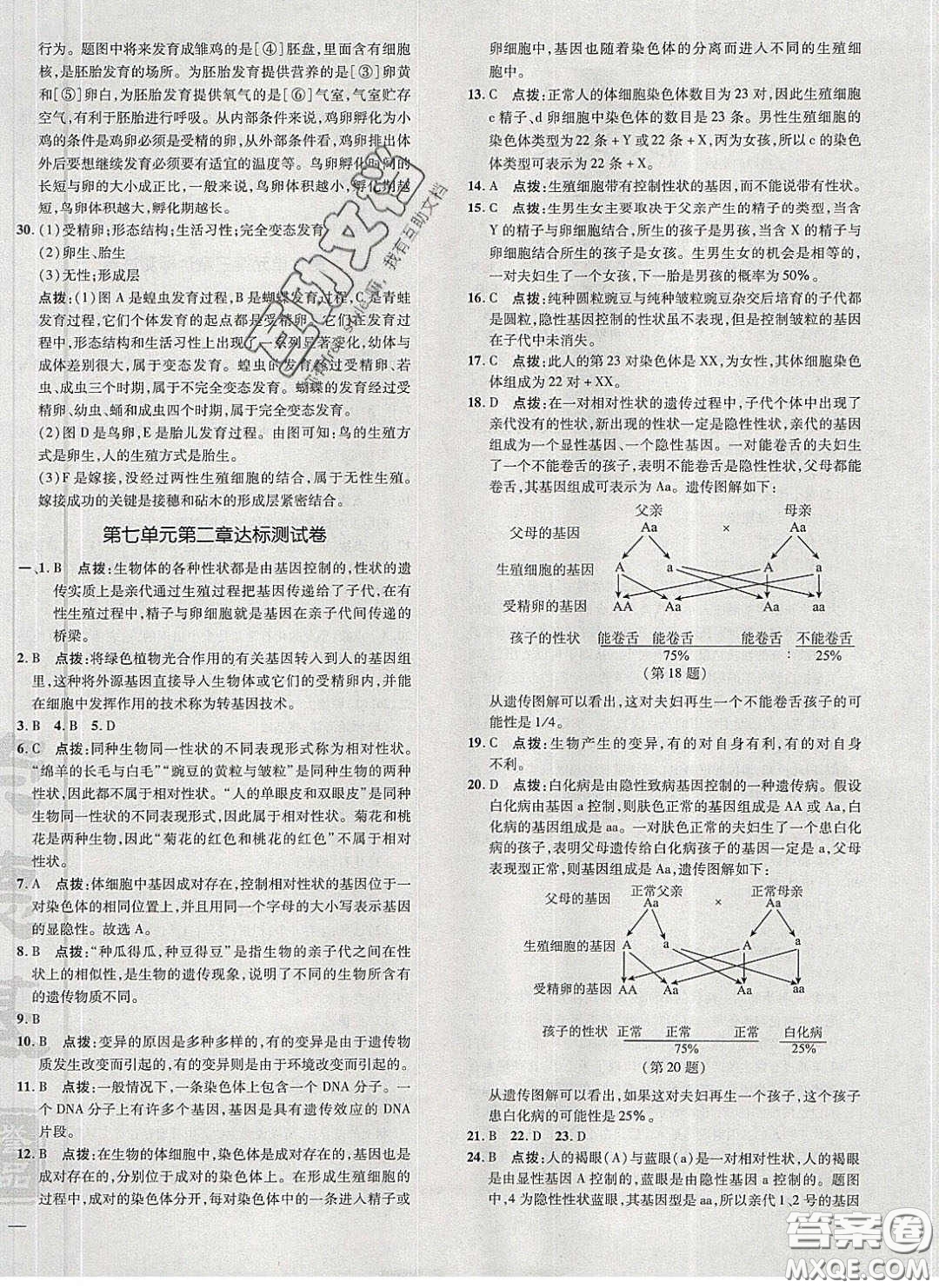 2020榮德基點撥訓練八年級生物下冊人教版答案