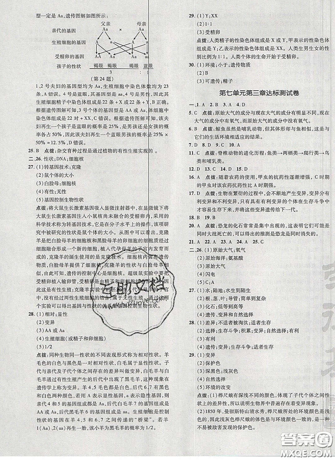 2020榮德基點撥訓練八年級生物下冊人教版答案