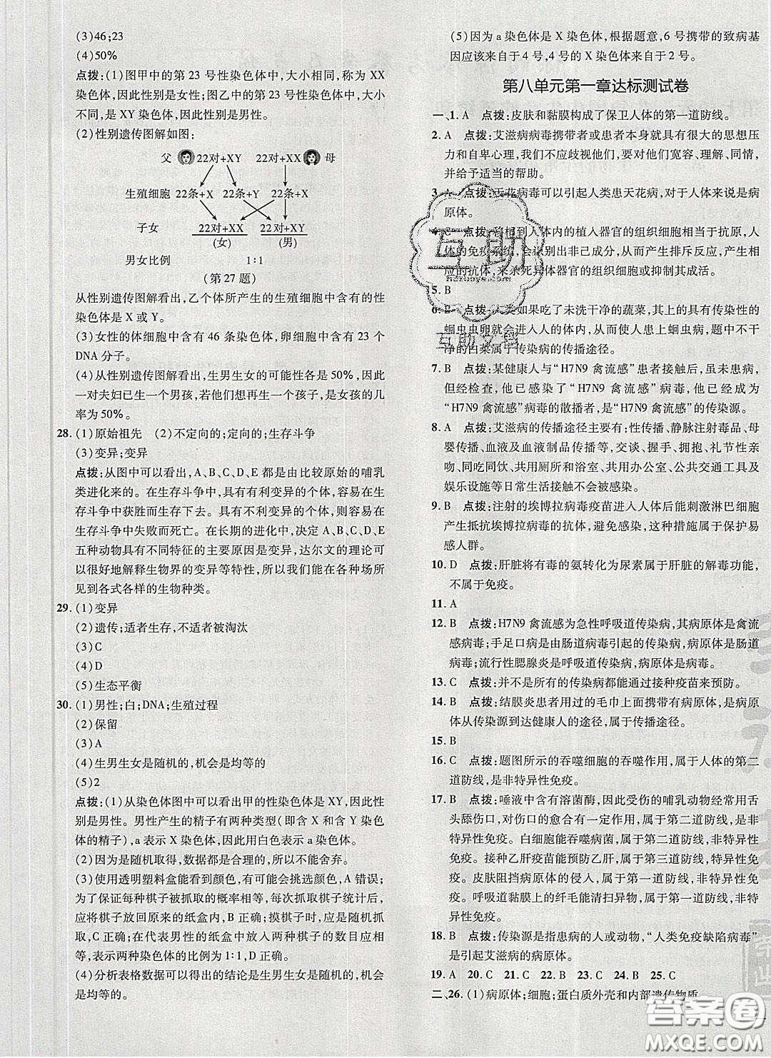 2020榮德基點撥訓練八年級生物下冊人教版答案