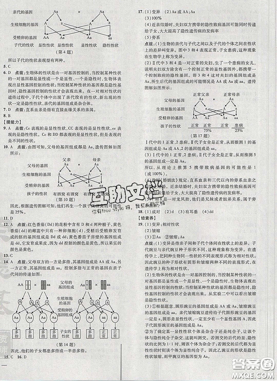 2020榮德基點撥訓練八年級生物下冊人教版答案