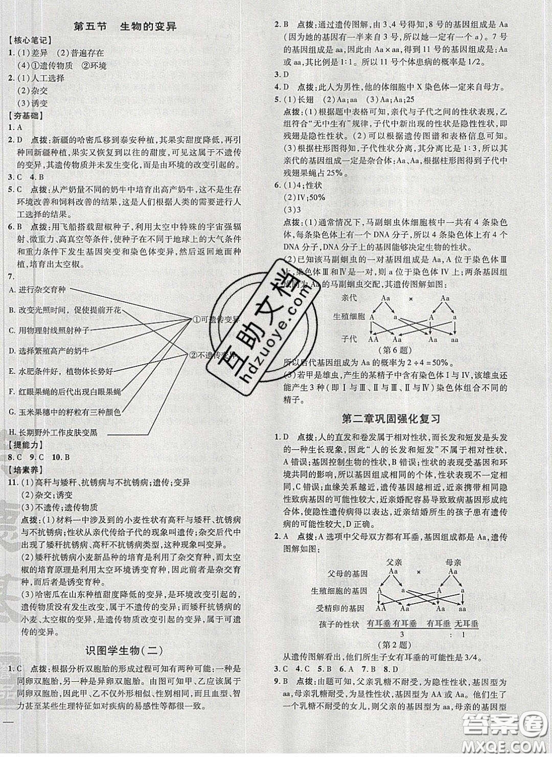 2020榮德基點撥訓練八年級生物下冊人教版答案